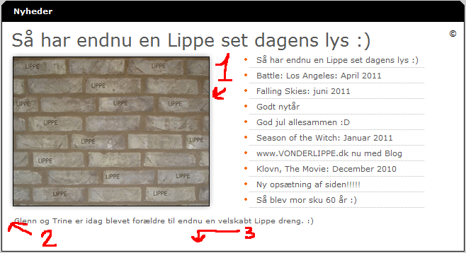 vonderlippe.dk/images/nyhedspanelet.jpg